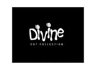 DIVINE CUT COLLECTION