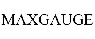 MAXGAUGE