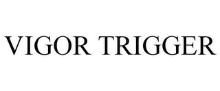 VIGOR TRIGGER