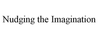 NUDGING THE IMAGINATION