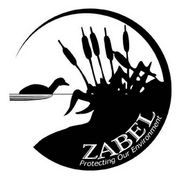 ZABEL PROTECTING OUR ENVIRONMENT