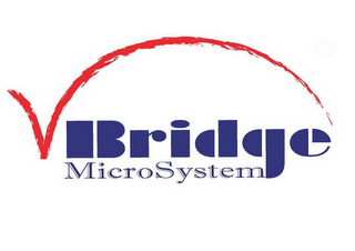 VBRIDGE MICROSYSTEM