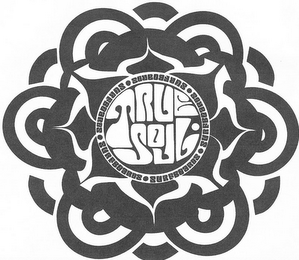 TRUE SOUL SURFBOARDS