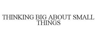 THINKING BIG ABOUT SMALL THINGS