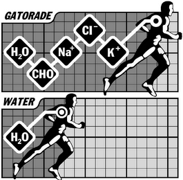 GATORADE WATER H2O CHO NA+ CI- K+ H2O