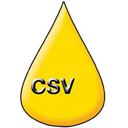 CSV