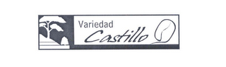 VARIEDAD CASTILLO