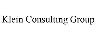 KLEIN CONSULTING GROUP