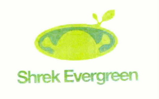 SHREK EVERGREEN