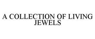 A COLLECTION OF LIVING JEWELS