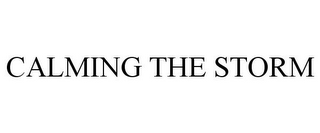 CALMING THE STORM