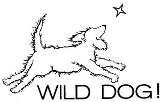 WILD DOG!