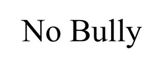 NO BULLY