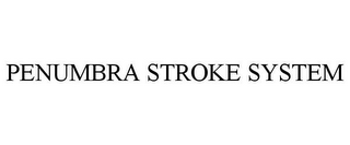 PENUMBRA STROKE SYSTEM