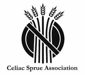 CELIAC SPRUE ASSOCIATION