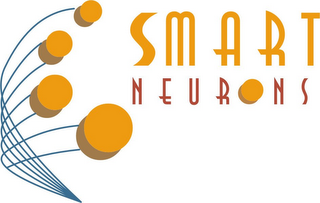 SMART NEURONS