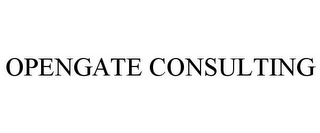 OPENGATE CONSULTING