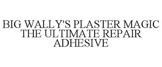 BIG WALLY'S PLASTER MAGIC THE ULTIMATE REPAIR ADHESIVE