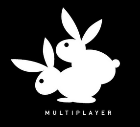 MULTIPLAYER