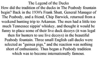 THE LEGEND OF THE DUCKS HOW DID THE TRADITION OF THE DUCKS IN THE PEABODY FOUNTAIN BEGIN? BACK IN THE 1930'S FRANK SHUTT, GENERAL MANAGER OF THE PEABODY, AND A FRIEND, CHIP BARWICK, RETURNED FROM A WEEKEND HUNTING TRIP TO ARKANSAS. THE MEN HAD A LITTLE TOO MUCH TENNESSEE SIPPIN' WHISKEY, AND THOUGHT IT WOULD BE FUNNY TO PLACE SOME OF THEIR LIVE DUCK DECOYS (IT WAS LEGAL THEN FOR HUNTERS TO USE LIVE DECOYS) IN THE BEAUTIFUL PEABODY FOUNTAIN. THREE SMALL ENGLISH CALL DUCKS WERE SELECTED AS "GUINEA PIGS," AND THE REACTION WAS NOTHING SHORT OF ENTHUSIASTIC. THUS BEGAN A PEABODY TRADITION WHICH WAS TO BECOME INTERNATIONALLY FAMOUS.