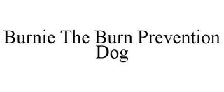 BURNIE THE BURN PREVENTION DOG