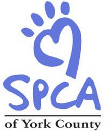 SPCA OF YORK COUNTY