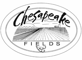 CHESAPEAKE FIELDS