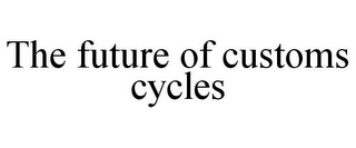 THE FUTURE OF CUSTOMS CYCLES