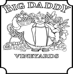 BIG DADDY VINEYARDS