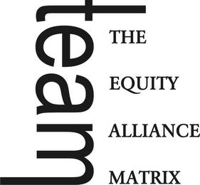 TEAM THE EQUITY ALLIANCE MATRIX