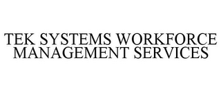 TEK SYSTEMS WORKFORCE MANAGEMENT SERVICES