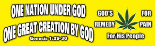 ONE NATION UNDER GOD ONE GREAT CREATION BY GOD GENESIS 1:29-30 GOD'S REMEDY FOR PAIN FOR HIS PEOPLE