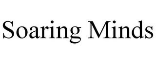 SOARING MINDS