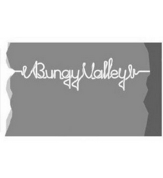 BUNGY VALLEY