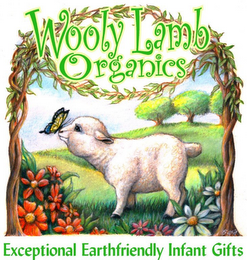 WOOLY LAMB ORGANICS EXCEPTIONAL EARTHFRIENDLY INFANT GIFTS