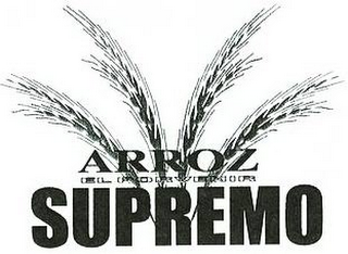 ARROZ EL PORVENIR SUPREMO