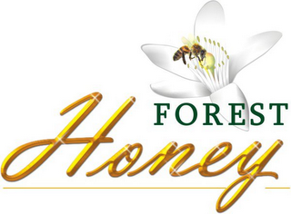 FOREST HONEY