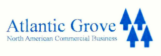 ATLANTIC GROVE NORTH AMERICAN COMMERCIAL BUSINESS