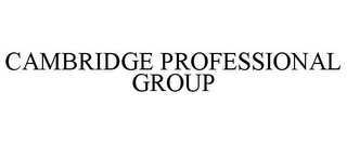 CAMBRIDGE PROFESSIONAL GROUP