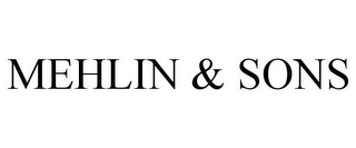 MEHLIN & SONS