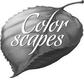 COLOR SCAPES