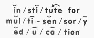 IN / STI / TUTE FOR MUL / TI - SEN / SOR / Y ED / U / CA / TION