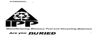 INTERNATIONAL IPP MANUFACTURING BIOMASS FUEL AND RECYCLING MATERIALS ARE YOU BURIED