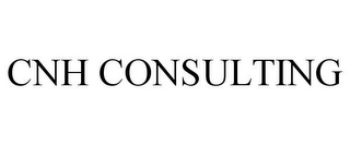 CNH CONSULTING