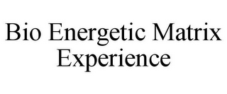 BIO ENERGETIC MATRIX EXPERIENCE