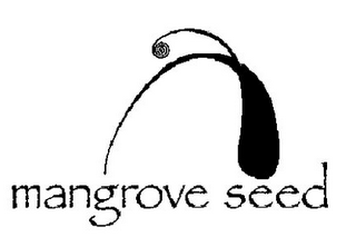 MANGROVE SEED