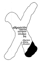 X EXPOSICIÓN CABERNET SAUVIGNON CHILE 2005 EXPERIENCE EXCITING EXPRESSION