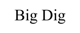 BIG DIG