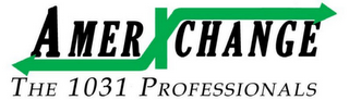 AMERXCHANGE THE 1031 PROFESSIONALS