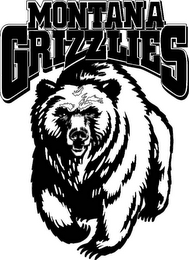 MONTANA GRIZZLIES